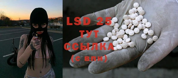 сатива Новозыбков