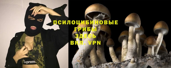 дживик Балахна