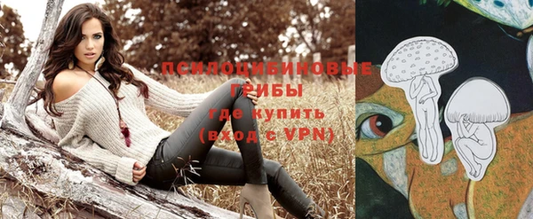 дживик Балахна