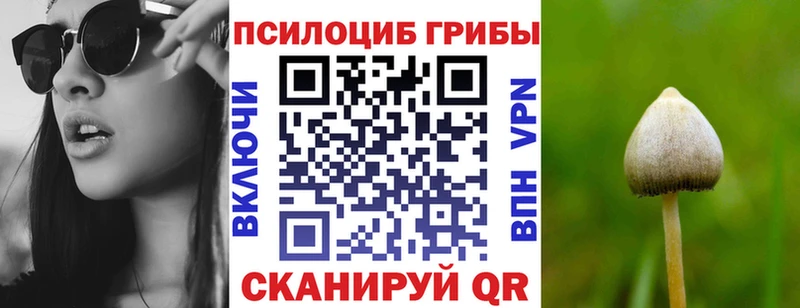 Псилоцибиновые грибы мицелий  Морозовск 